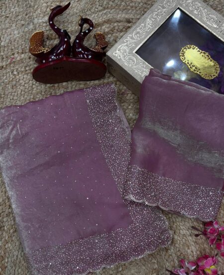 Organza Saree - Shimmer Finish with Intricate Embroidered Blouse